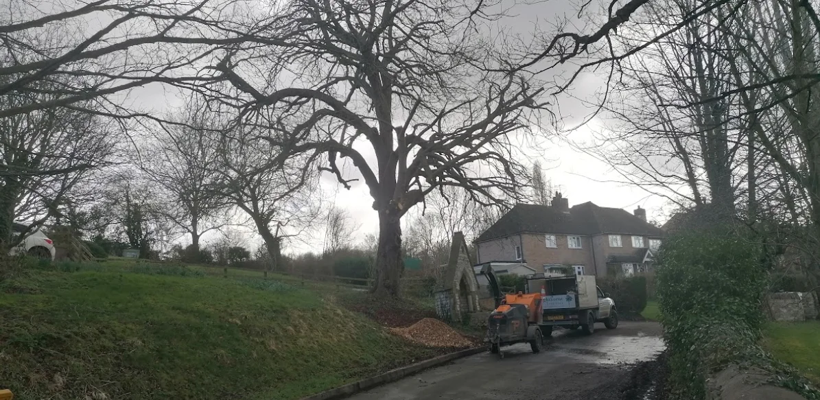 Lighthorne Tree Care